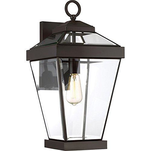 Quoizel RAV8410WT Ravine One Light Outdoor Wall Lantern, Western Bronze Alternate Image.jpg