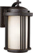 Generation Lighting 8547901-71 Crowell One Light Outdoor Wall Lantern, Antique Bronze Alternate Image.jpg