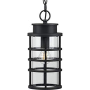 Progress P550061-031 Port Royal Collection One-Light Hanging Lantern with DURASHIELD Alternate Image.jpg