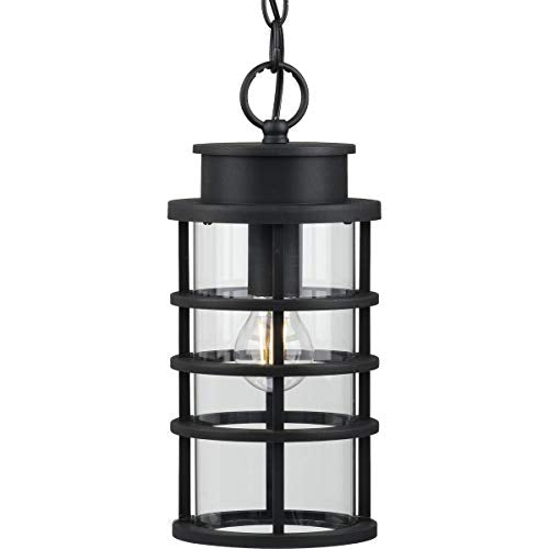 Progress P550061-031 Port Royal Collection One-Light Hanging Lantern with DURASHIELD Alternate Image.jpg