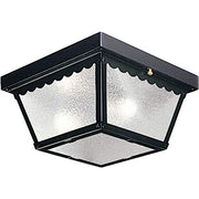 Progress P5729-31 Two-Light 9-1/4" Flush Mount for Indoor/Outdoor use Alternate Image 2.jpg