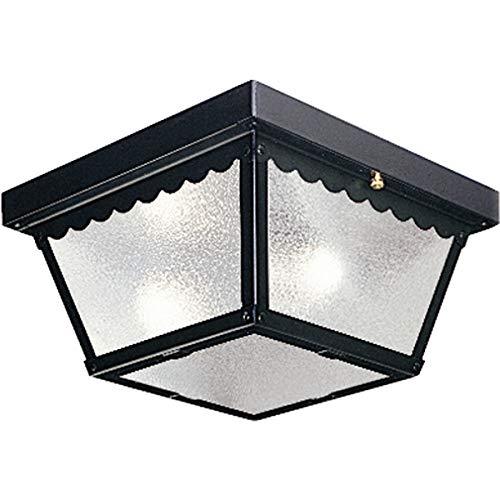 Progress P5729-31 Two-Light 9-1/4" Flush Mount for Indoor/Outdoor use Alternate Image 2.jpg