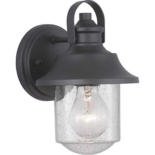 Progress P560119-031 Weldon Collection One-Light Small Wall Lantern Alternate Image.jpg