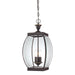 Quoizel OAS1909Z Oasis Three Light Outdoor Hanging Lantern, Medici Bronze Main Image.jpg