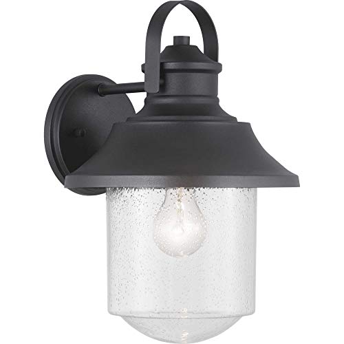 Progress P560121-031 Weldon Collection One-Light Large Wall Lantern Alternate Image.jpg