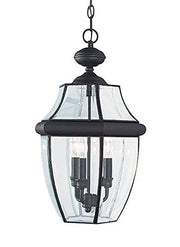 Generation Lighting 6039EN-12 Lancaster Three Light Outdoor Pendant, Black Alternate Image.jpg