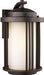 Generation Lighting 8747901DEN3-71 Crowell One Light Outdoor Wall Lantern, Antique Bronze Alternate Image.jpg