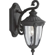 Progress P5820-31 Meridian Collection One-Light Small Wall Lantern Alternate Image.jpg