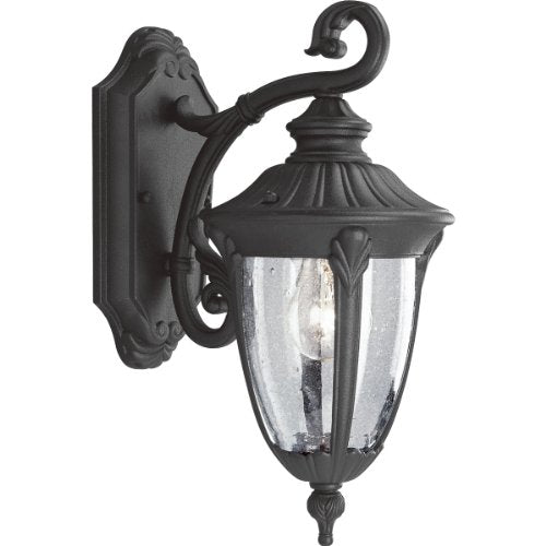 Progress P5820-31 Meridian Collection One-Light Small Wall Lantern Alternate Image.jpg