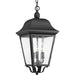 Progress P550001-031 Kiawah Collection Three-Light Hanging Lantern Alternate Image.jpg