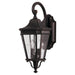 Generation Lighting OL5401GBZ Cotswold Lane Two Light Outdoor Fixture, Grecian Bronze Alternate Image.jpg