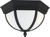 Generation Lighting 79136EN3-12 Wynfield Two Light Outdoor Flush Mount, Black Alternate Image.jpg