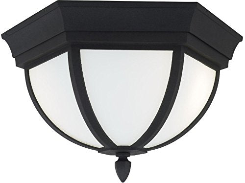 Generation Lighting 79136EN3-12 Wynfield Two Light Outdoor Flush Mount, Black Alternate Image.jpg