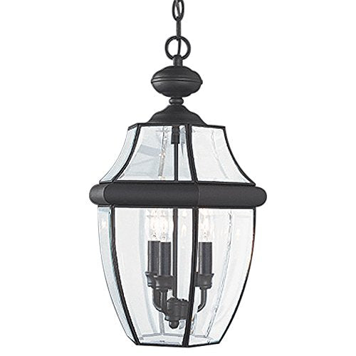 Generation Lighting 6039-12 Lancaster Three Light Outdoor Pendant, Black Alternate Image.jpg