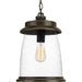 Progress P550030-020 Conover Collection Hanging Lantern Alternate Image.jpg