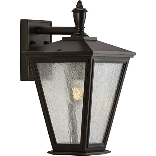 Progress P560167-020 Cardiff Collection One-Light Medium Wall Lantern with DURASHIELD Alternate Image.jpg