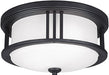 Generation Lighting 7847902-12 Crowell Two Light Outdoor Flush Mount, Black Alternate Image.jpg