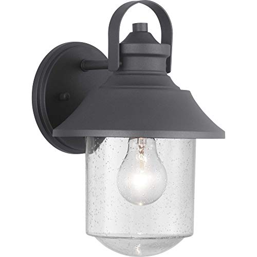 Progress P560120-031 Weldon Collection One-Light Medium Wall Lantern Alternate Image.jpg