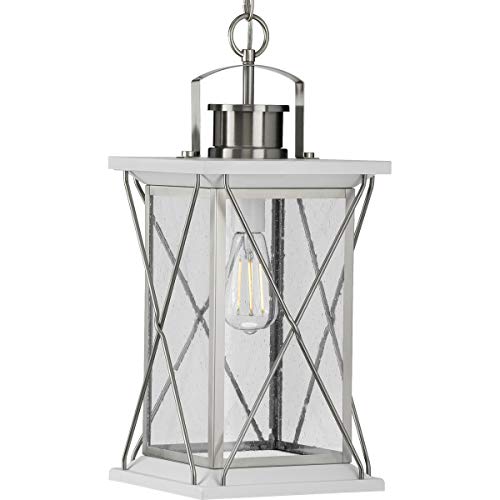 Progress P550068-135 Barlowe Collection Stainless Steel One-Light Hanging Lantern Alternate Image.jpg