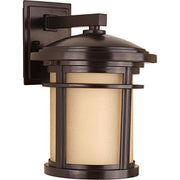 Progress P6085-20 Wish Collection One-Light Medium Wall Lantern Alternate Image.jpg