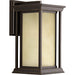 Progress P5610-20 Endicott Collection One-Light Medium Wall Lantern Alternate Image.jpg