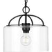 Progress P500316-031 Leyden Collection One-Light Matte Black and Clear Glass Farmhouse Style Hanging Pendant Light Alternate Image.jpg