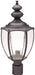 Progress P6417-31 Roman Coach Collection One-Light Post Lantern Alternate Image.jpg