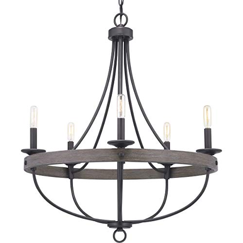 Progress P400158-143 Gulliver Collection Five-Light Graphite Coastal Chandelier Light Alternate Image.jpg