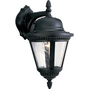 Progress P5863-31 Westport Collection One-Light Medium Wall Lantern Alternate Image.jpg