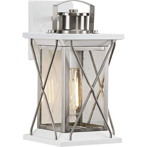 Progress P560156-135 Barlowe Collection Stainless Steel One-Light Small Wall Lantern Alternate Image.jpg