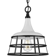 Progress P500236-030 Bastille Collection One-Light White Coastal Pendant Light Alternate Image.jpg