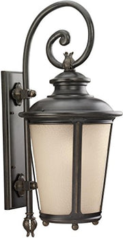 Generation Lighting 88243EN3-780 Cape May One Light Outdoor Wall Lantern, Burled Iron Alternate Image.jpg