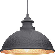 Progress P550032-031 Englewood Collection One-Light Hanging Lantern Alternate Image.jpg