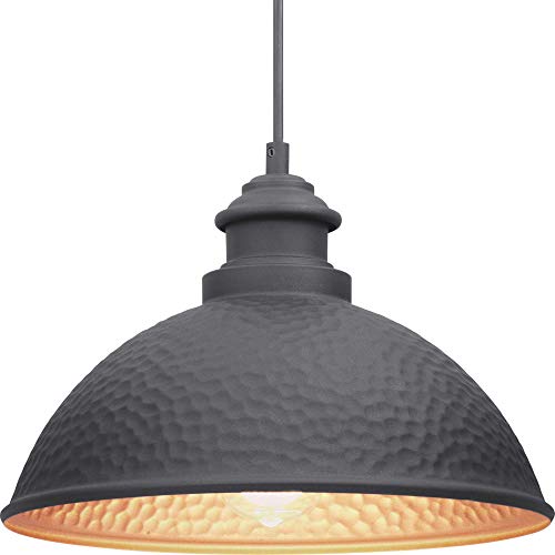 Progress P550032-031 Englewood Collection One-Light Hanging Lantern Alternate Image.jpg
