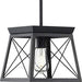 Progress P500041-031 Briarwood Collection One-Light Textured and Cerused Black Farmhouse Style Hanging Mini-Pendant Light Alternate Image.jpg