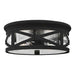 Generation Lighting 7821402-12 Outdoor Ceiling Two Light Outdoor Flush Mount, Black Alternate Image.jpg