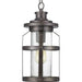 Progress P550031-103 Haslett Collection One-Light Hanging Lantern Alternate Image.jpg