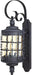 Minka-Lavery 8881-A39 Mallorca Two Light Wall Mount, Spanish Iron Alternate Image.jpg