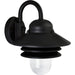 Progress P5645-31 Newport Collection Non-Metallic One-Light Wall Lantern Alternate Image.jpg