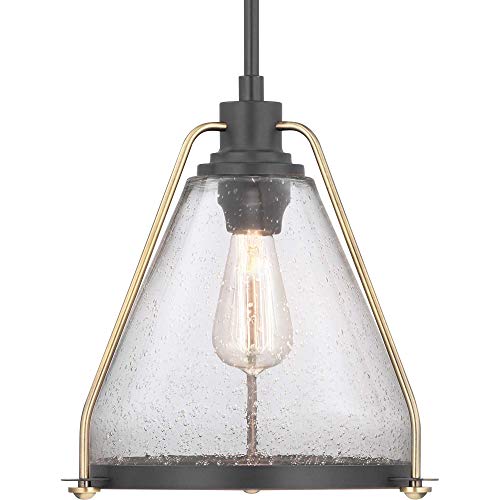 Progress P500135-020 Range Collection One-Light Pendant Alternate Image.jpg