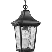 Progress P550062-031 Marquette Collection One-Light Hanging Lantern with DURASHIELD Alternate Image.jpg