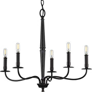 Progress P400199-031 Durrell Collection Five-Light Matte Black Coastal Chandelier Light Alternate Image.jpg