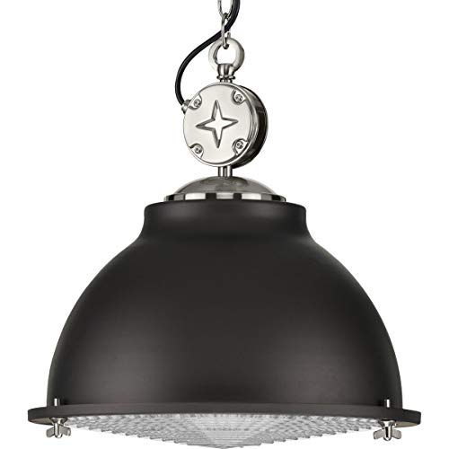 Progress P500212-143 Medal Collection One-Light Graphite Clear Patterned Glass Coastal Pendant Light Alternate Image.jpg