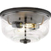 Progress P350205-143 Rushton Collection Two-Light Graphite and Clear Glass Industrial Style Flush Mount Ceiling Light Alternate Image.jpg