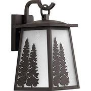 Progress P560162-020 Torrey Collection Antique Bronze One-Light Medium Wall Lantern Alternate Image.jpg