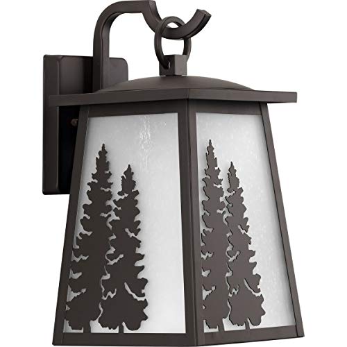 Progress P560162-020 Torrey Collection Antique Bronze One-Light Medium Wall Lantern Alternate Image.jpg