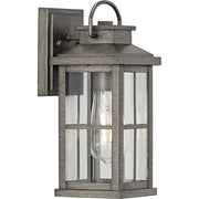 Progress P560264-103 Williamston Collection One-Light Antique Pewter and Clear Glass Transitional Style Small Outdoor Wall Lantern Alternate Image.jpg