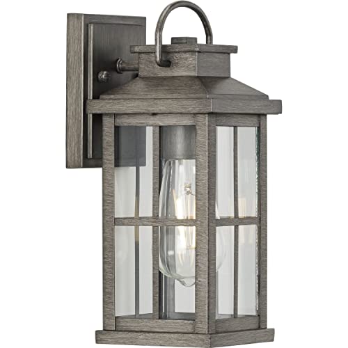 Progress P560264-103 Williamston Collection One-Light Antique Pewter and Clear Glass Transitional Style Small Outdoor Wall Lantern Alternate Image.jpg