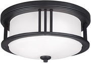 Generation Lighting 7847902EN3-12 Crowell Two Light Outdoor Flush Mount, Black Alternate Image.jpg