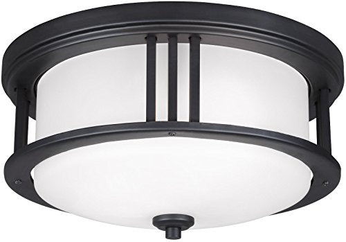 Generation Lighting 7847902EN3-12 Crowell Two Light Outdoor Flush Mount, Black Alternate Image.jpg